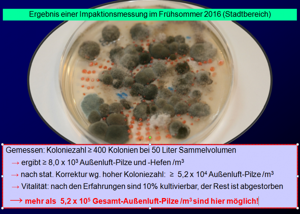 In Der Umwelt Schimmel Und Schimmelpilze Messen